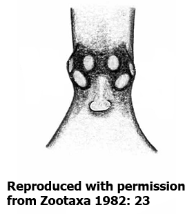 speciesimage