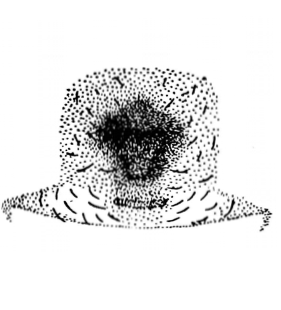 speciesimage