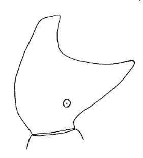 speciesimage