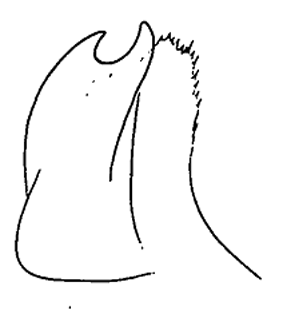 speciesimage