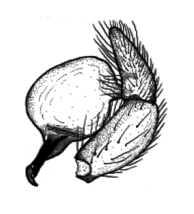 speciesimage