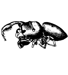speciesimage