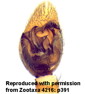 speciesimage