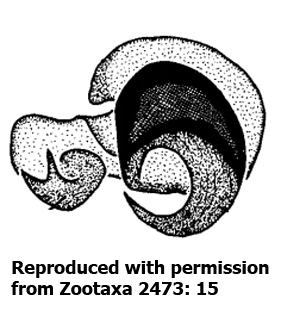 speciesimage