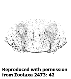 speciesimage