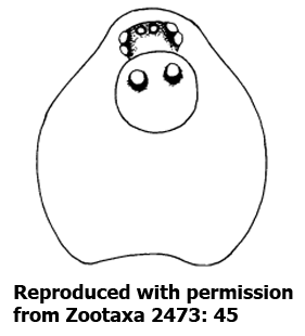 speciesimage