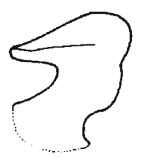 speciesimage