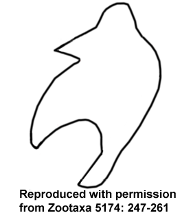 speciesimage
