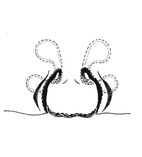 speciesimage