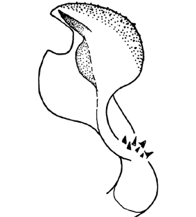 speciesimage