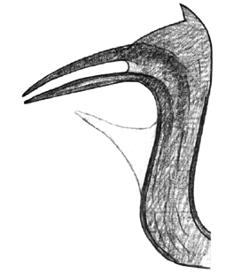 speciesimage