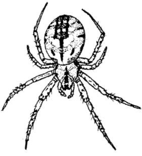 speciesimage