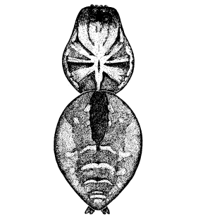 speciesimage