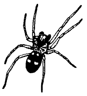 speciesimage