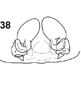 speciesimage