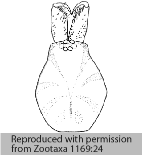 speciesimage