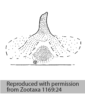 speciesimage