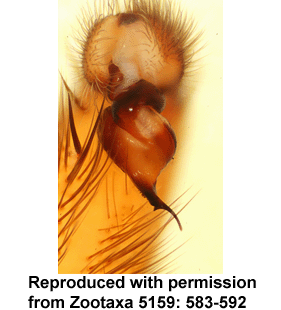 speciesimage