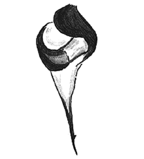 speciesimage