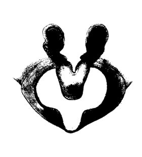 speciesimage