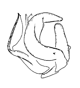 speciesimage