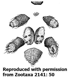 speciesimage