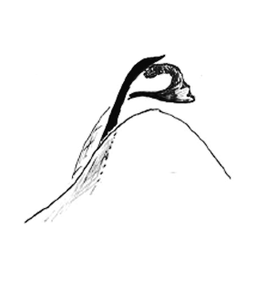 speciesimage