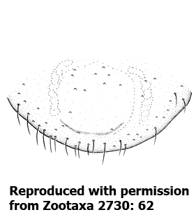 speciesimage