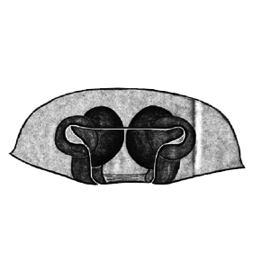 speciesimage