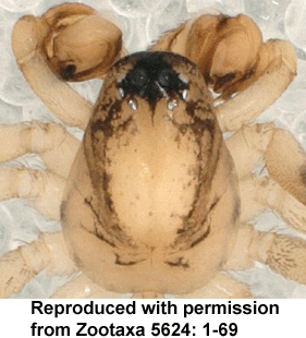 speciesimage
