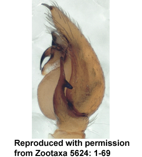 speciesimage