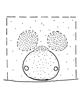 speciesimage