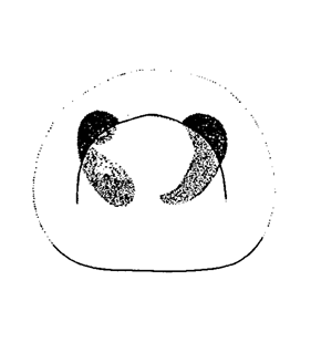 speciesimage
