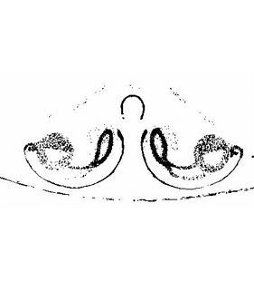 speciesimage