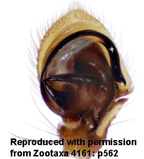 speciesimage