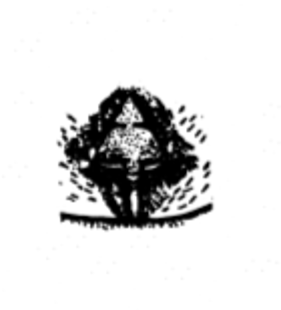 speciesimage