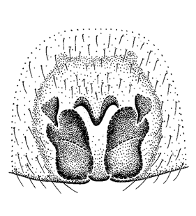 speciesimage