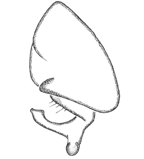 speciesimage