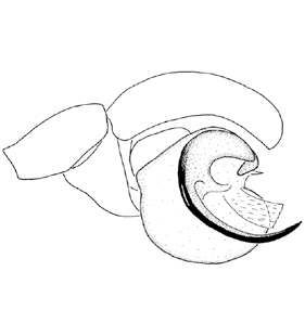 speciesimage