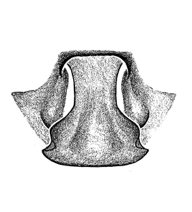 speciesimage