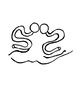 speciesimage