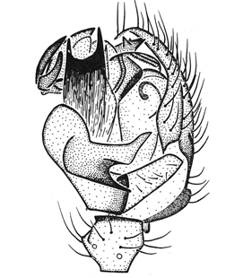 speciesimage