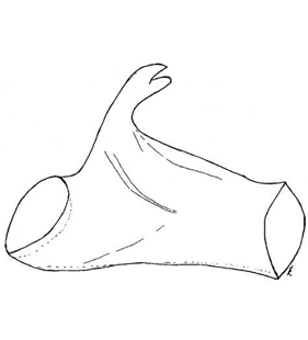 speciesimage