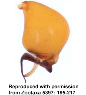 speciesimage