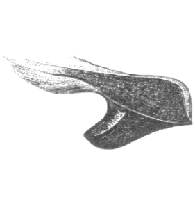 speciesimage