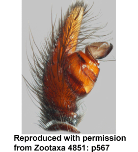 speciesimage