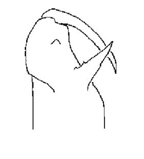 speciesimage