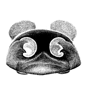 speciesimage
