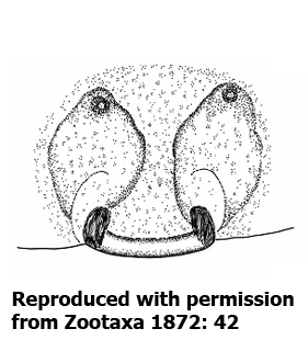 speciesimage