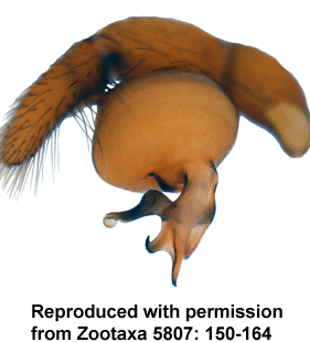 speciesimage